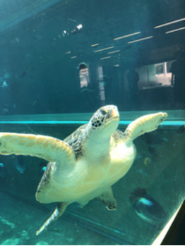 少し遠出_20200916_2