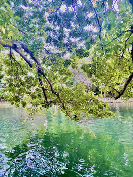 【SAE】予約について_20211102_1