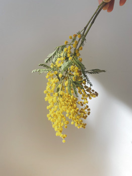 《 miki 》3月の出勤スケジュール！_20220227_1