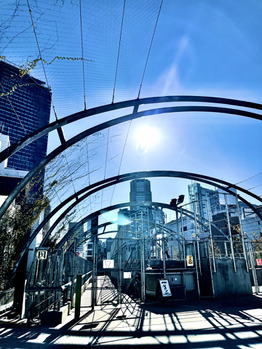 【SAE】宮下パーク_20211217_1