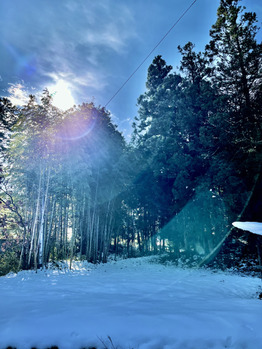 自然のパワー_20220113_1