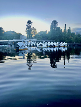 【SAE】井の頭公園_20211016_1