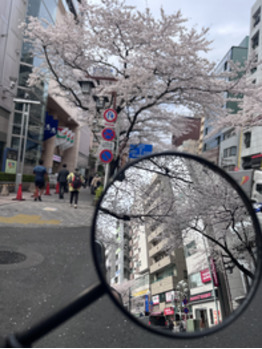 新生活応援クーポン☆_20220329_2