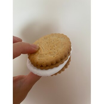 【SAE】最近のハマり物_20210914_1