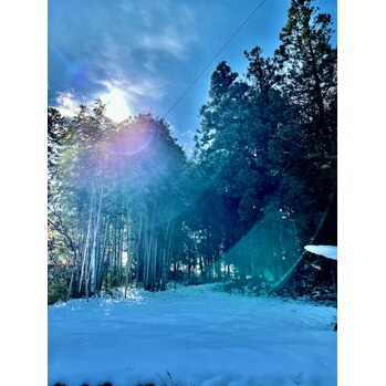 自然のパワー_20220113_1