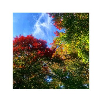 日本の四季って_20201130_2