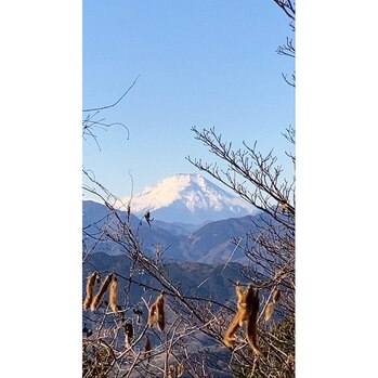 あけましておめでとうございます　/ KENTA_20210108_1