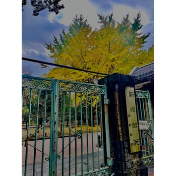 【SAE】紅葉の季節_20221207_1