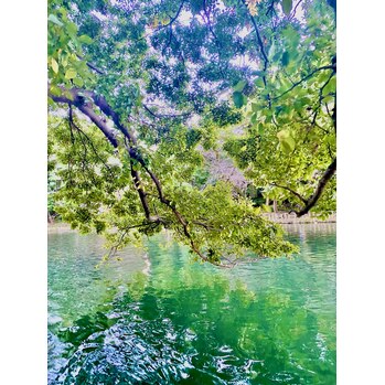 【SAE】予約について_20211102_1