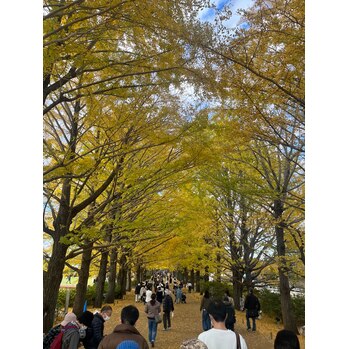 昭和記念公園_20221122_2