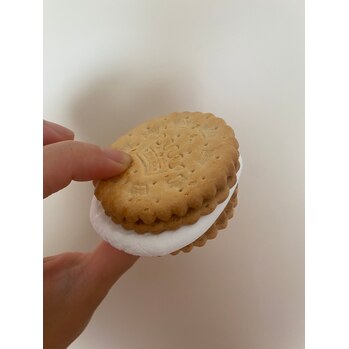 【SAE】最近のハマり物_20210914_1