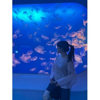 【SAE】初めての新江ノ島水族館_20231102_1