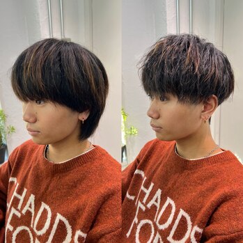 【HIKARI】ウルフから爽やかショート_20250131_1