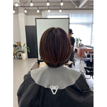 i112698483 【HIKARI】オレンジブラウン_20241008_2