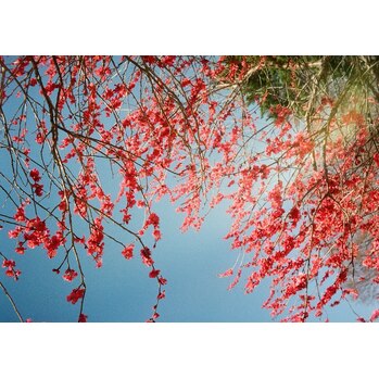 i123287162 新シーズンスタート_20250323_1