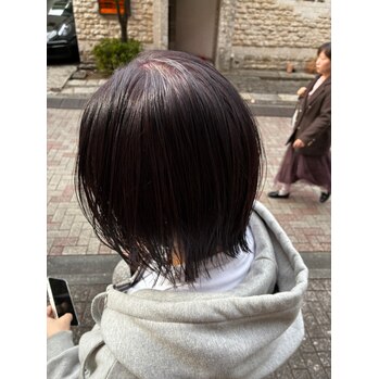 ぶどうカラー_20251206_1